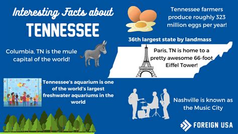 ABOUT TN.